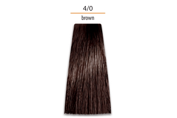 Prosalon Color Art Permanent Colour Cream 4/0, 100g