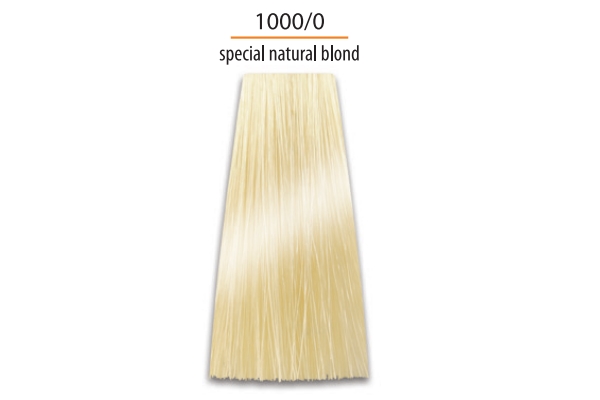 Prosalon Color Art Permanent Colour Cream Nr. 1000/0, 100g