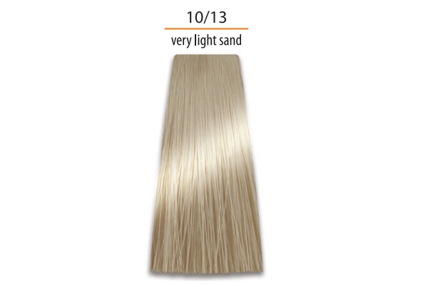 Prosalon Color Art Permanent Colour Cream Nr 10/11, 100g